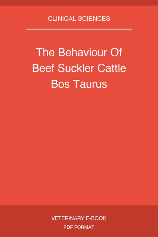 The Behaviour Of Beef Suckler Cattle Bos Taurus
