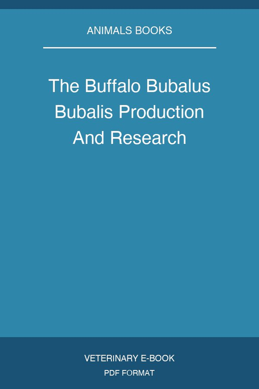 The Buffalo Bubalus Bubalis Production And Research