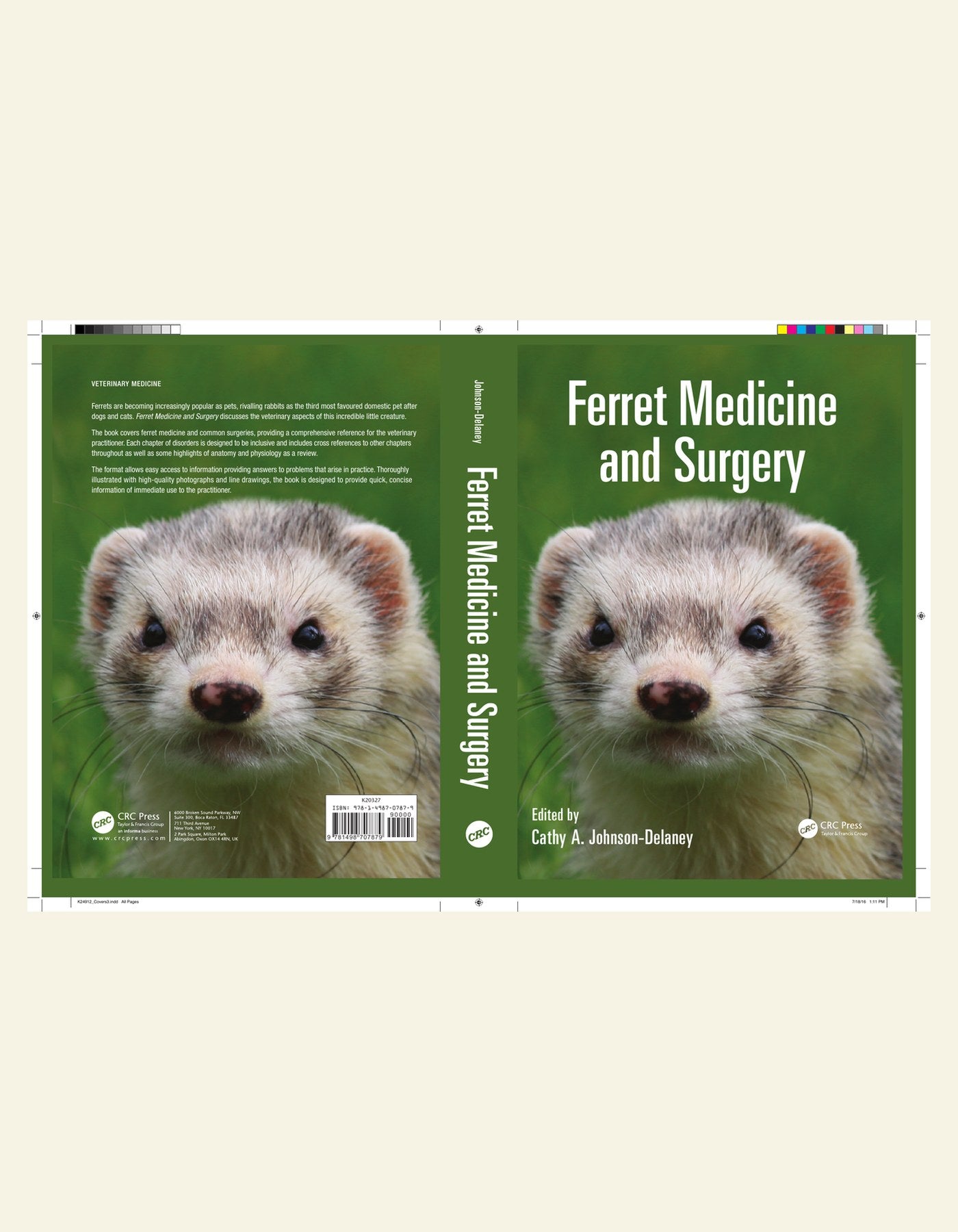 The Ferrets Medicine Surgery — cover