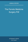 The Ferrets Medicine Surgery