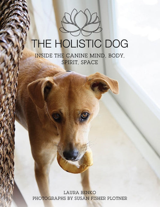 The Holistic Dog Inside The Canines Mind Body Spirits Space