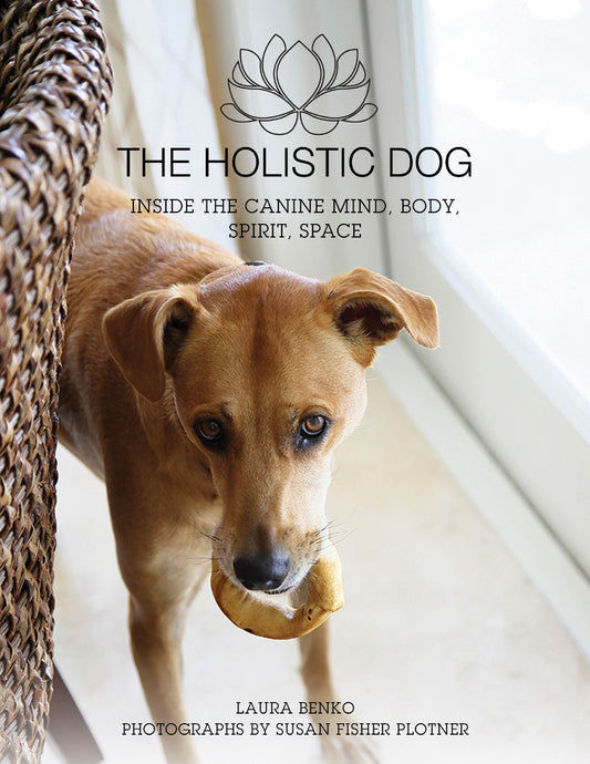 The Holistic Dog Inside The Canines Mind Body Spirits Space