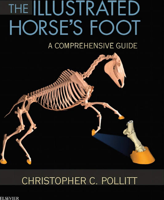 The Illustrated Horses Foot A Comprehensive Guide