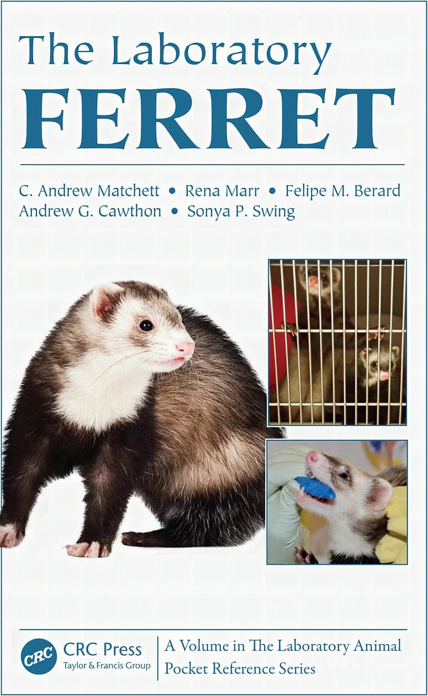 The Laboratory Ferret