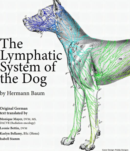 The Lymphatic System Of The Dog