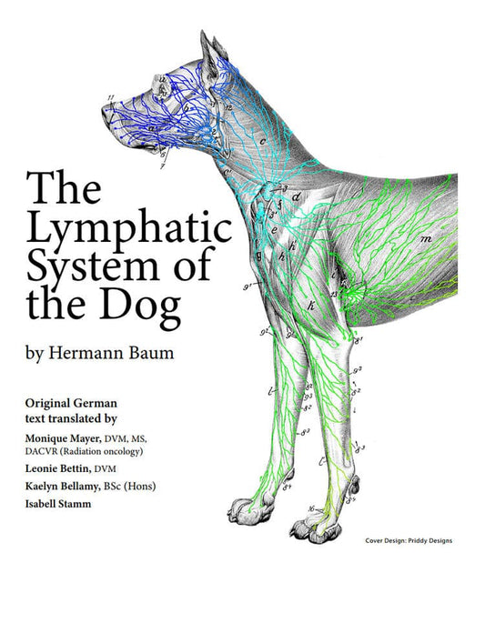 The Lymphatic System Of The Dog