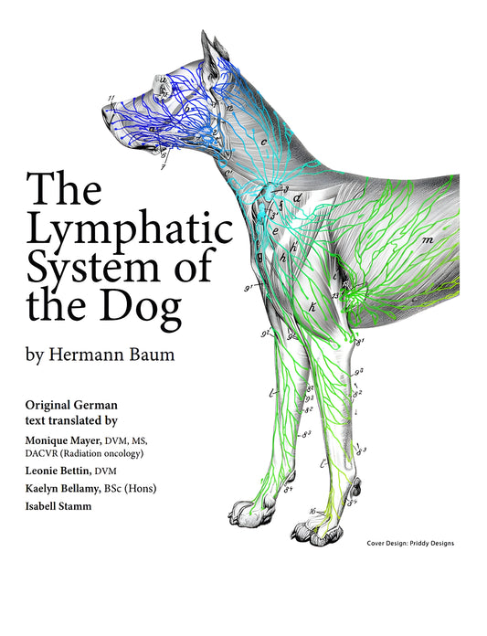 The Lymphatic System Of The Dog
