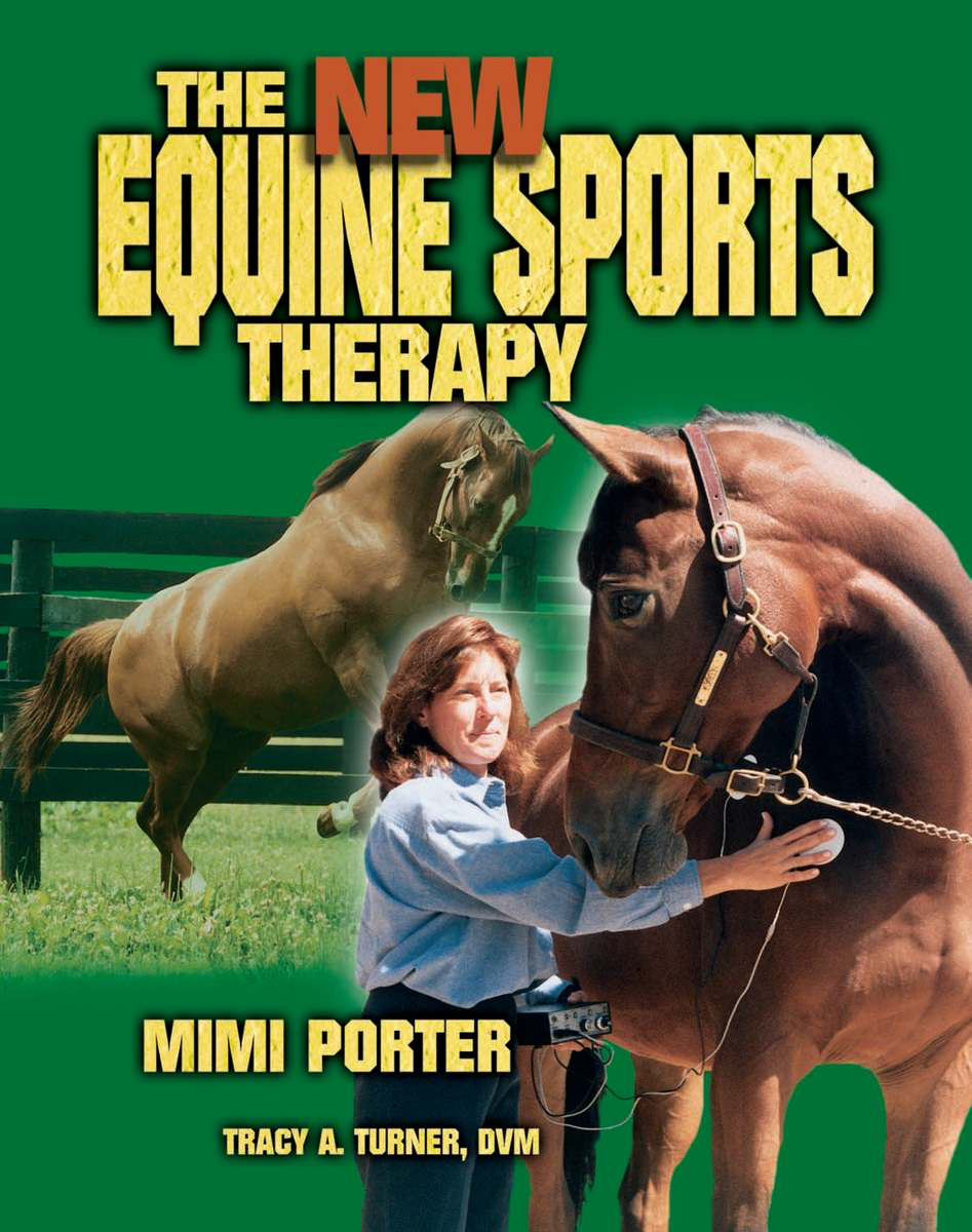 The New Equine Sports Therapy