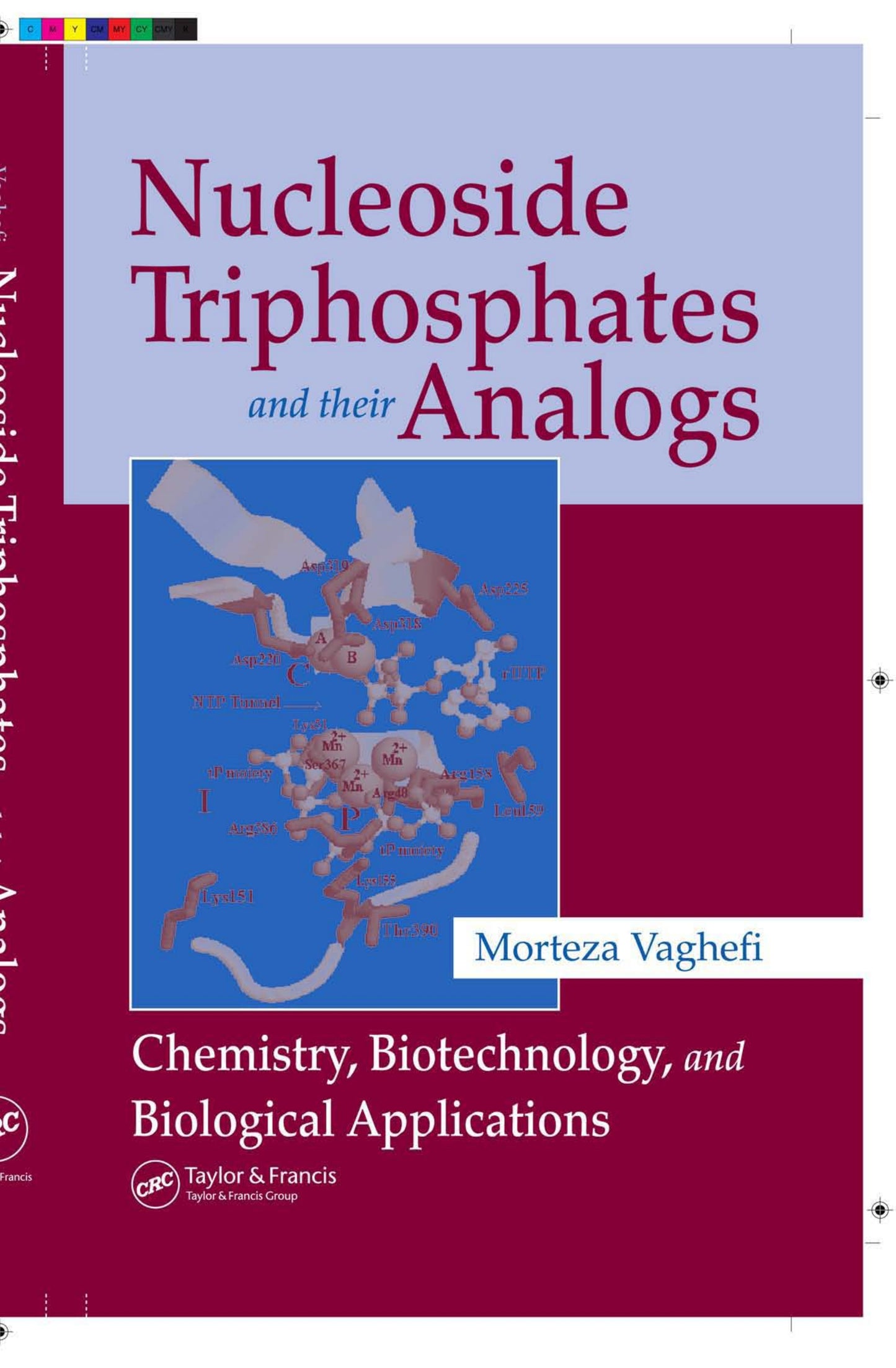 The Nucleosides Triphosphates and Their Analogs