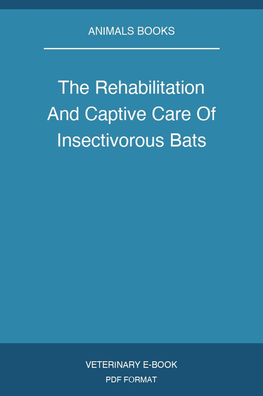 The Rehabilitation And Captive Care Of Insectivorous Bats