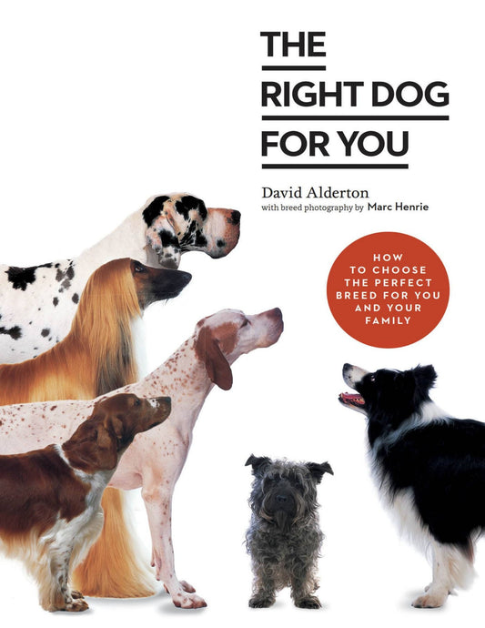 The Right Dog for You: How to Choose the Perfect Breed for You and Your Family