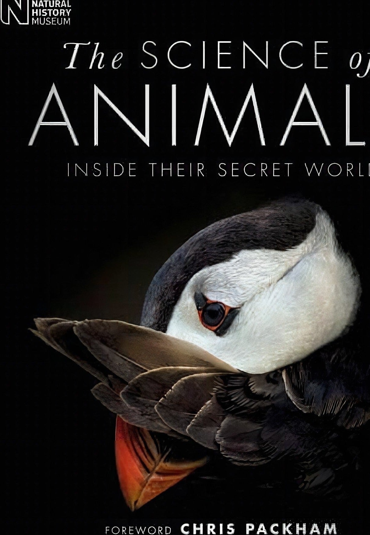 The Science Of Animals Inside Their Secret World