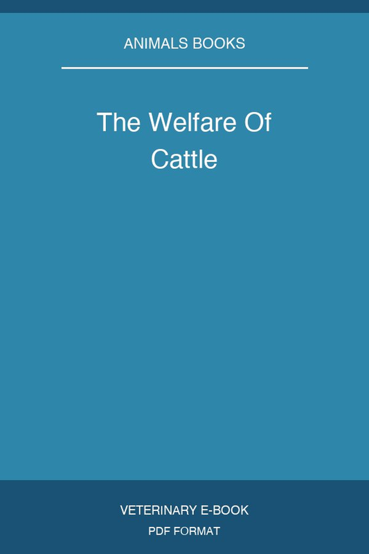 The Welfare Of Cattle
