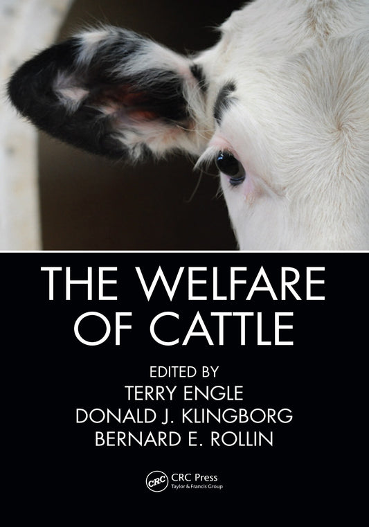 The Welfare Of Cattle