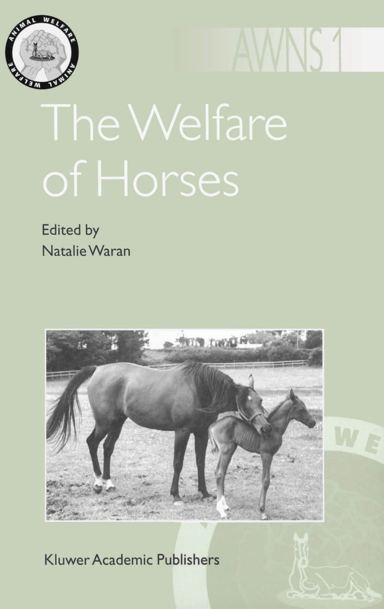 The Welfare Of Horses