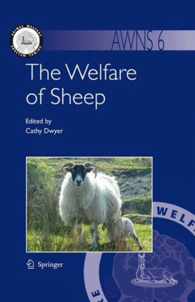 The Welfare Of Sheep