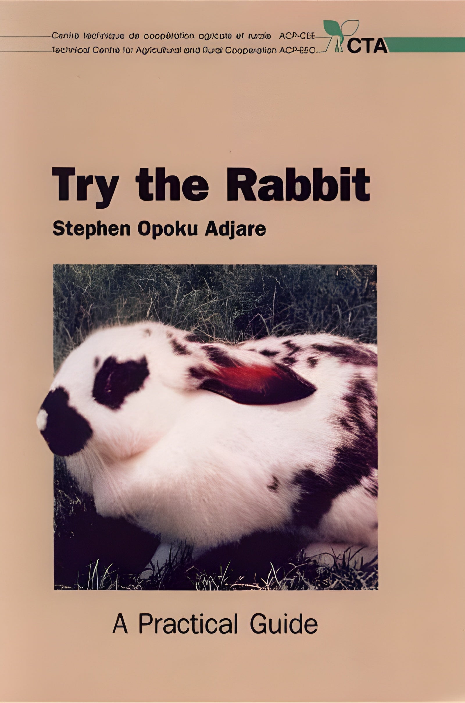 Try The Rabbit A Practical Guide