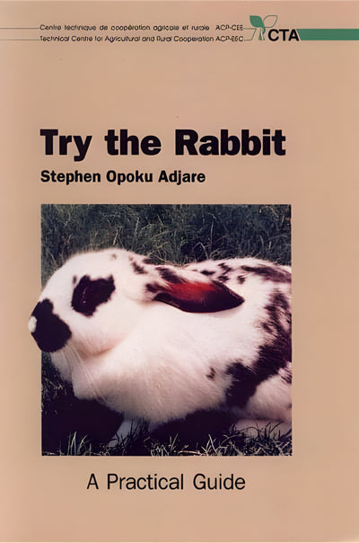 Try The Rabbit A Practical Guide