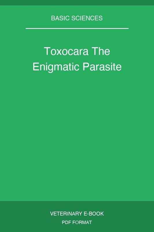 Toxocara The Enigmatic Parasite