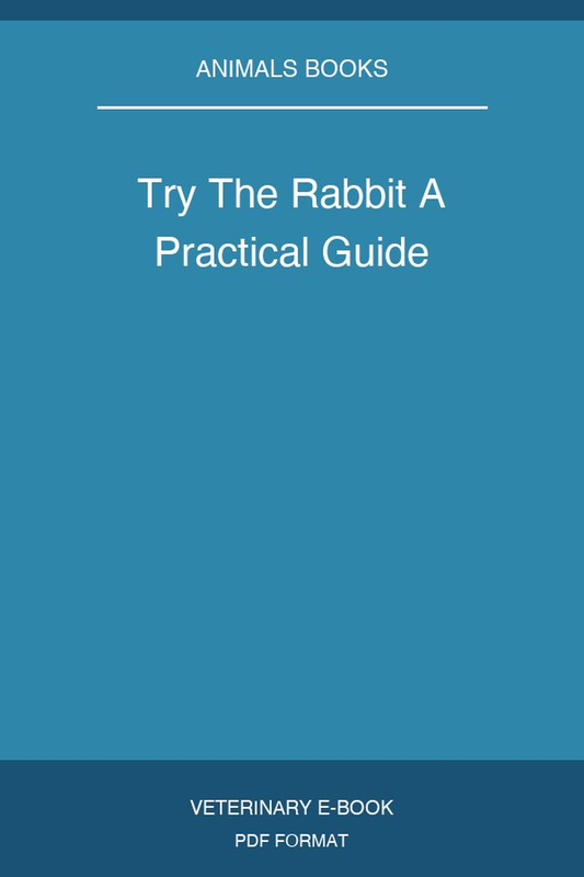 Try The Rabbit A Practical Guide