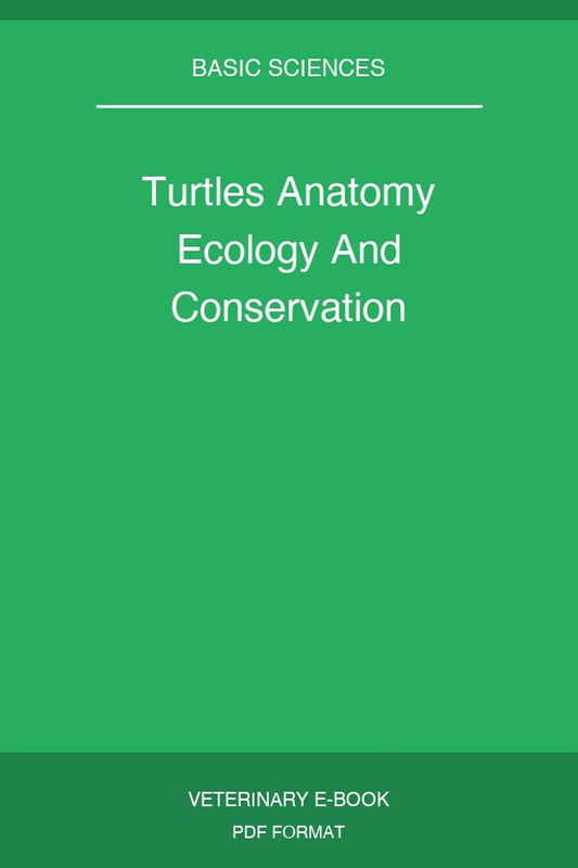 Turtles Anatomy Ecology And Conservation