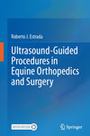 Ultrasound-Guided Procedures in Equine Orthopedics and Surgery