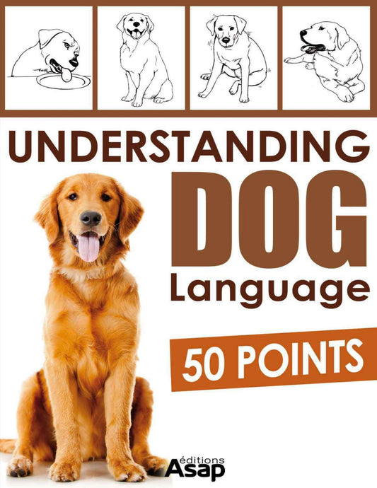 Understanding Dog Language 50 Points