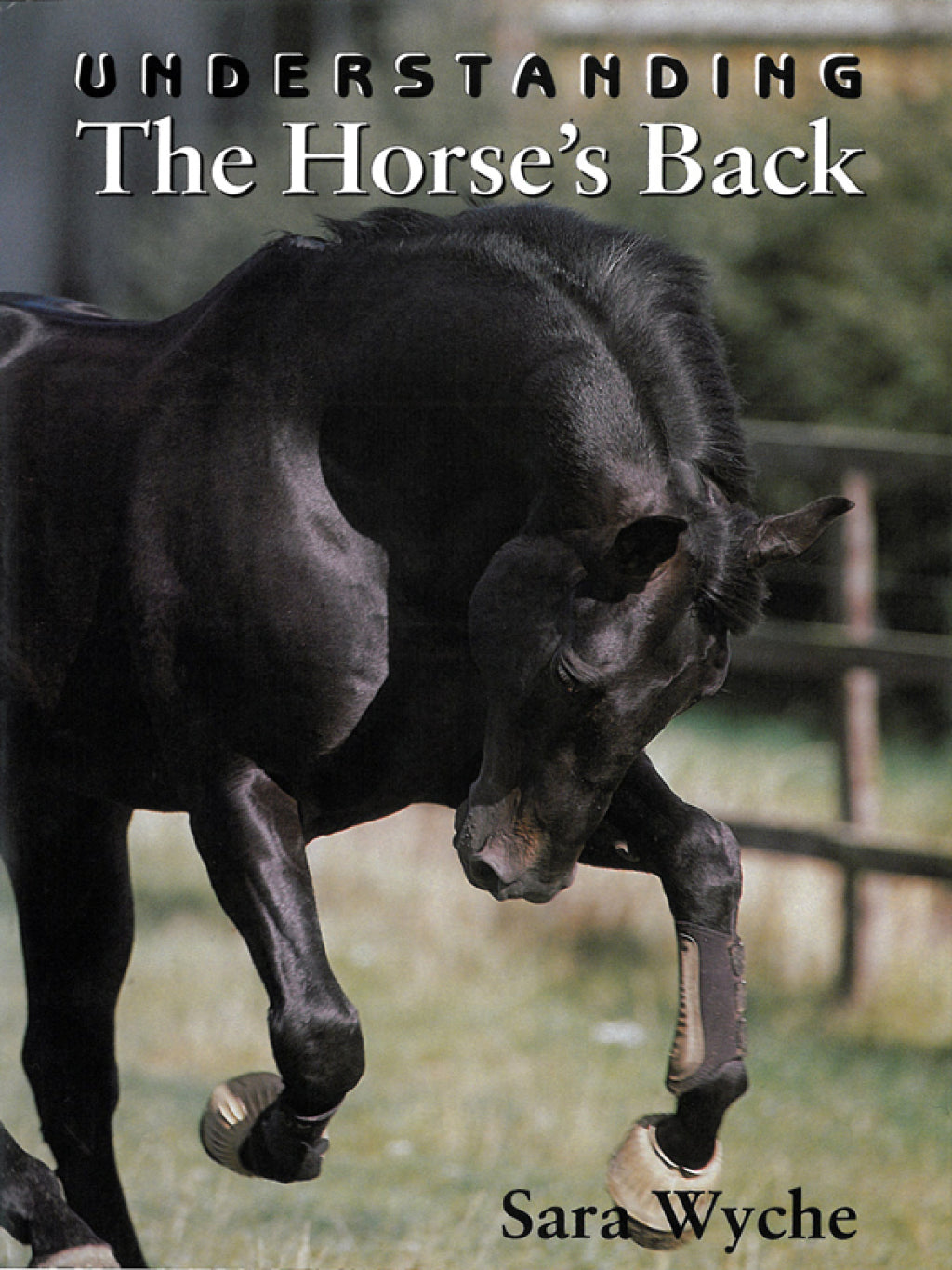 Understanding The Horses Back — front cover