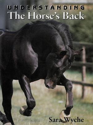 Understanding The Horses Back