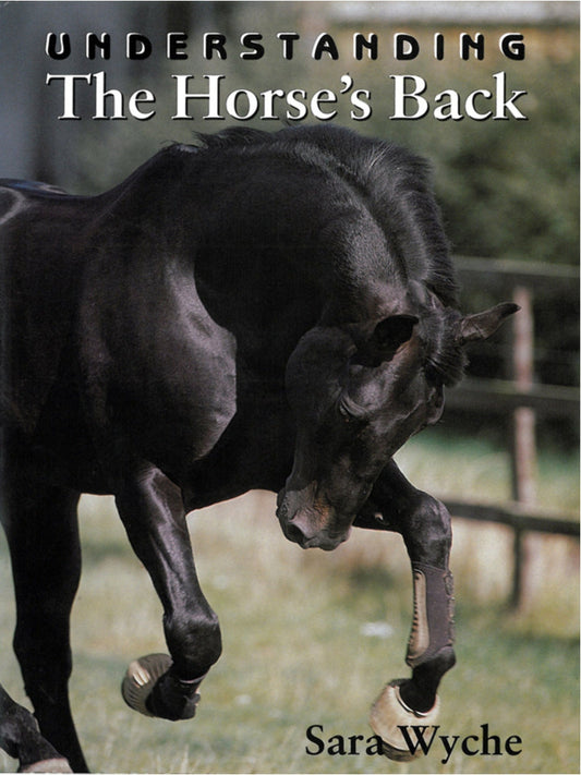 Understanding The Horses Back