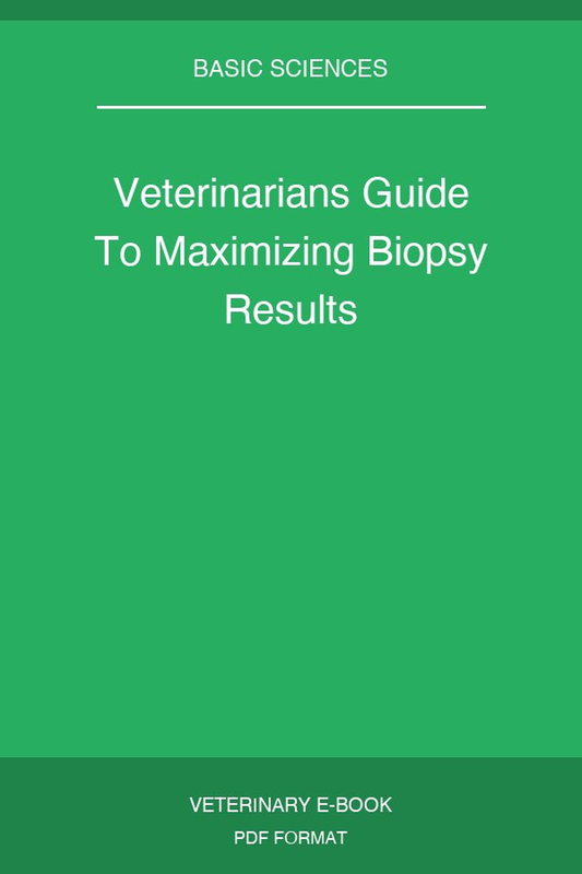 Veterinarians Guide To Maximizing Biopsy Results
