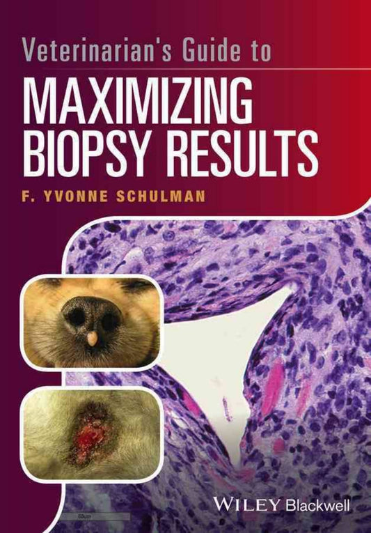 Veterinarians Guide To Maximizing Biopsy Results