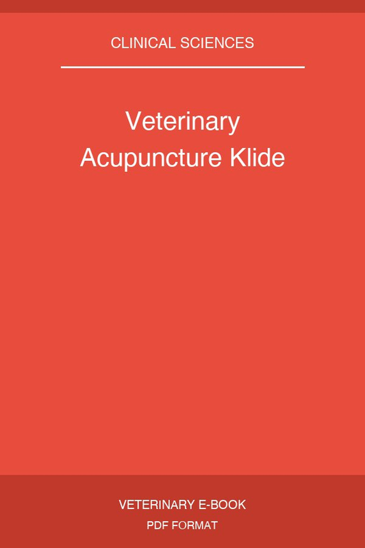 Veterinary Acupuncture Klide