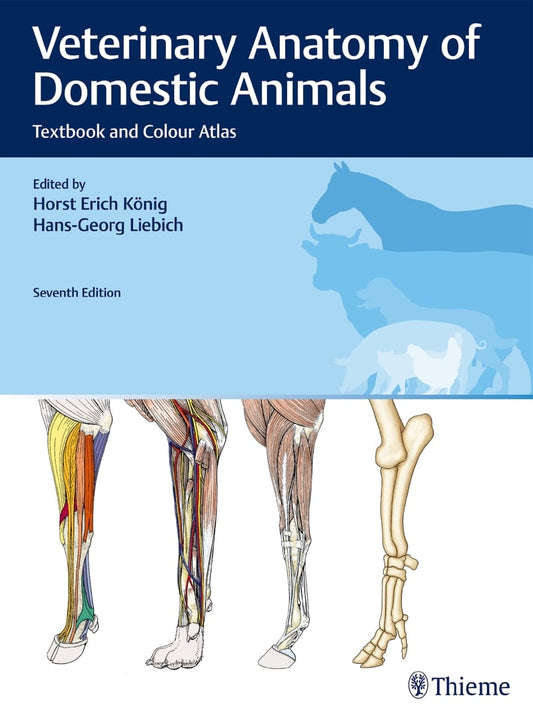 Regional And Surgical Anatomy Of Bovines