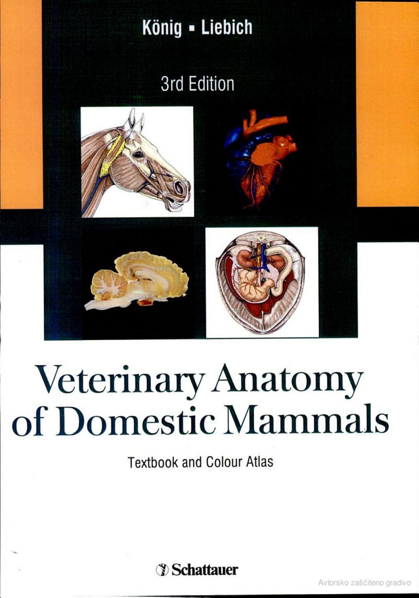 Veterinary Anatomy Of Domestic Mammals 3Rd Edition