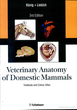 Veterinary Anatomy Of Domestic Mammals 3Rd Edition