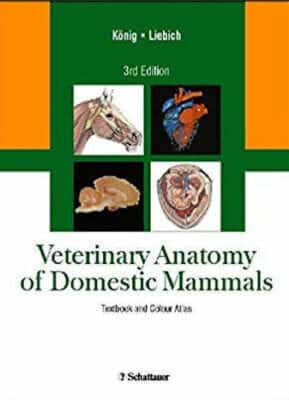 Veterinary Anatomy Of Domestic Mammals 3Rd Edition