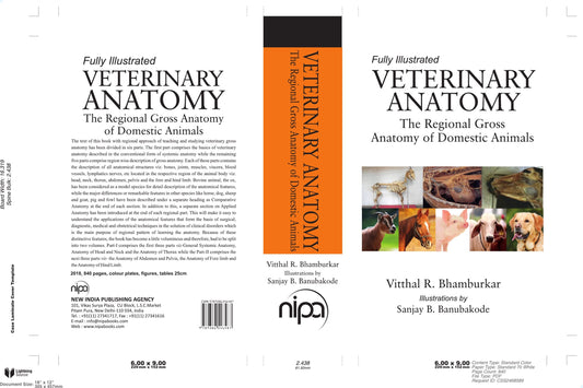 Veterinary Anatomy The Regional Gross Anatomy Of Domestic Animals
