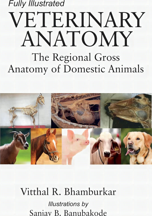 Veterinary Anatomy The Regional Gross Anatomy Of Domestic Animals