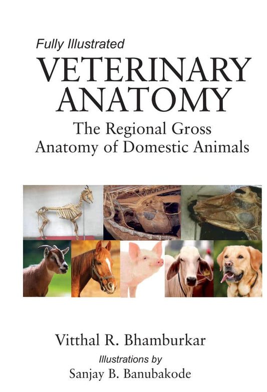 Veterinary Anatomy The Regional Gross Anatomy Of Domestic Animals