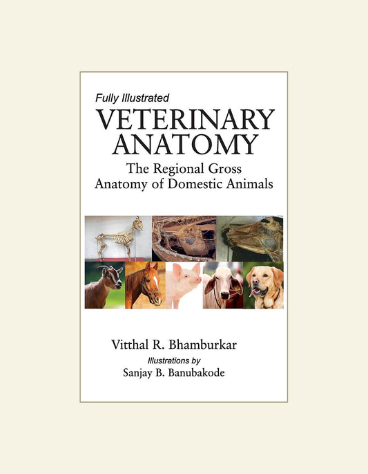 Veterinary Anatomy The Regional Gross Anatomy Of Domestic Animals — front cover