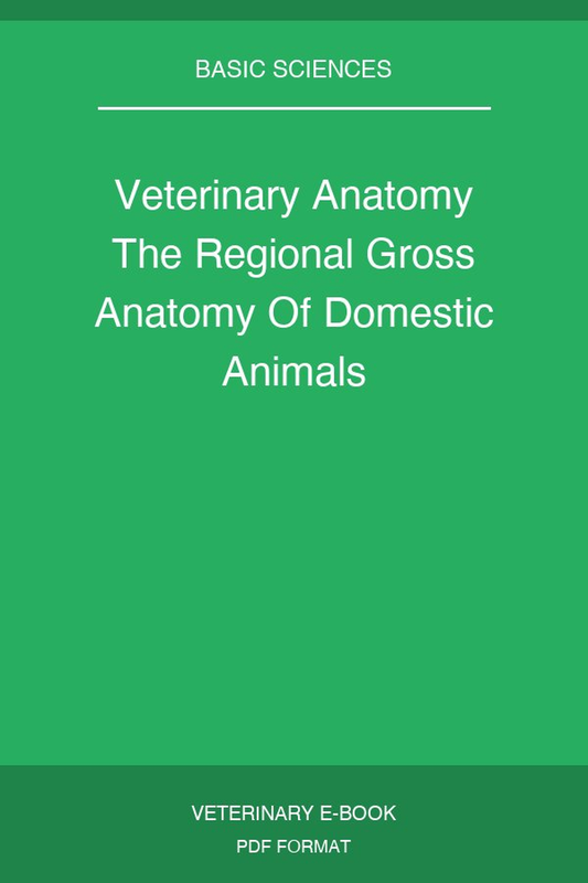 Veterinary Anatomy The Regional Gross Anatomy Of Domestic Animals