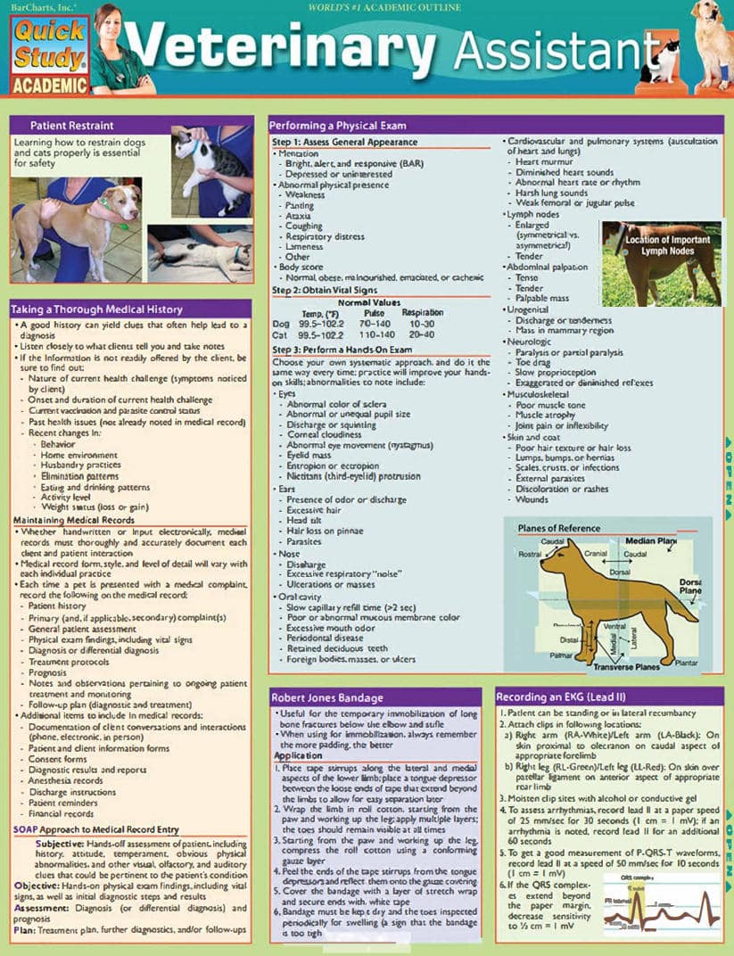 Veterinary Assistant Chris Pinney