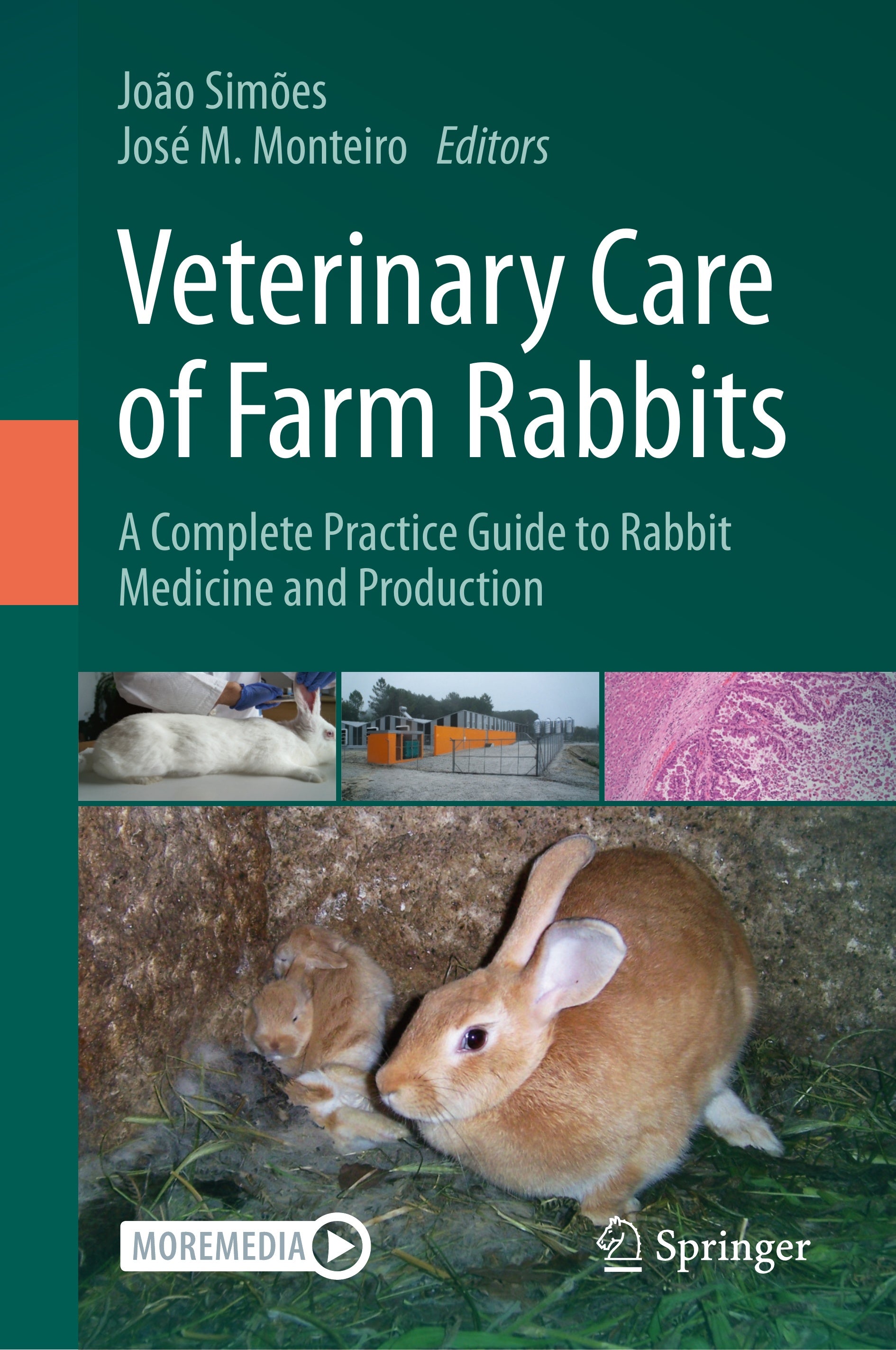 Veterinary Care Of Farm Rabbits A Complete Practice Guide To Rabbit Medicine And Production