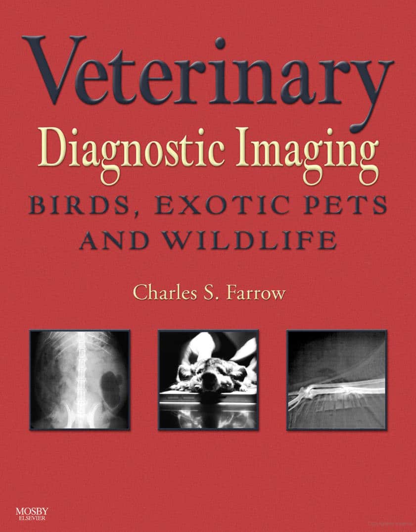 Veterinary Diagnostic Imaging Birds Exotic Pets And Wildlife