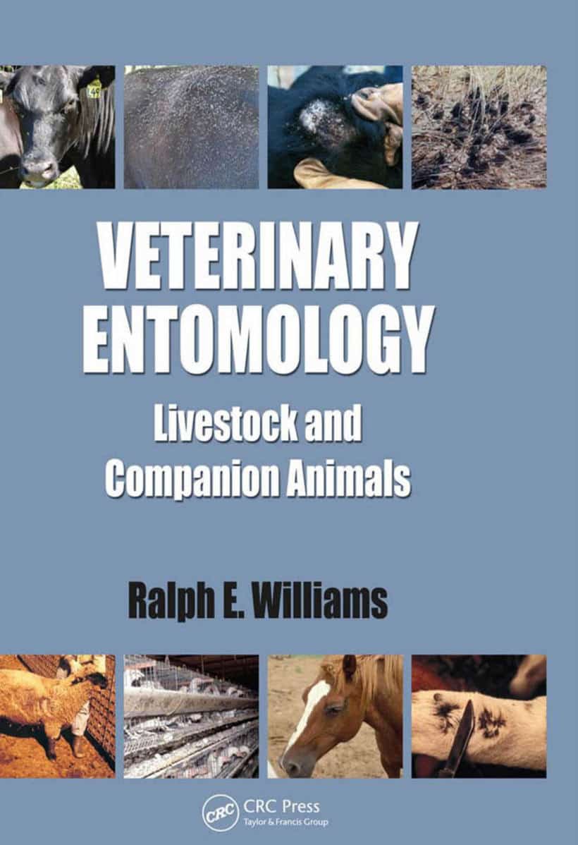 Veterinary Entomology Livestock And Companion Animals