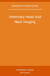 Veterinary Head And Neck Imaging