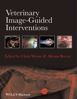 Veterinary Image Guided Interventions