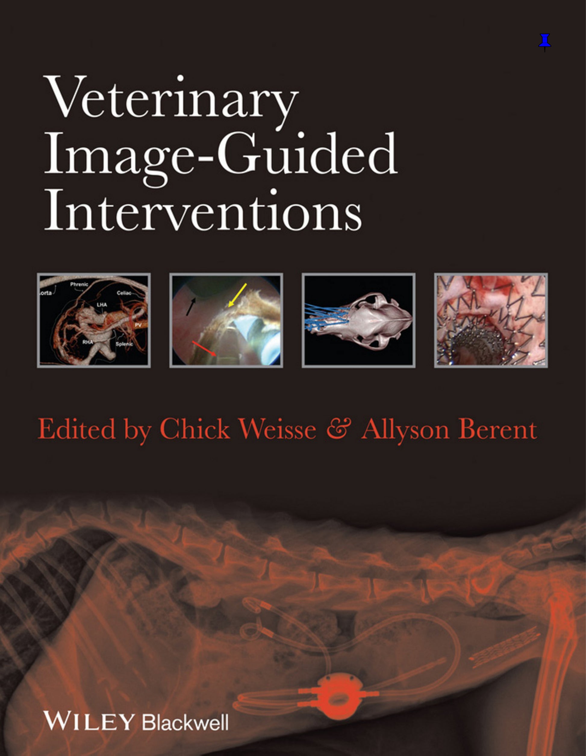 Veterinary Image Guided Interventions