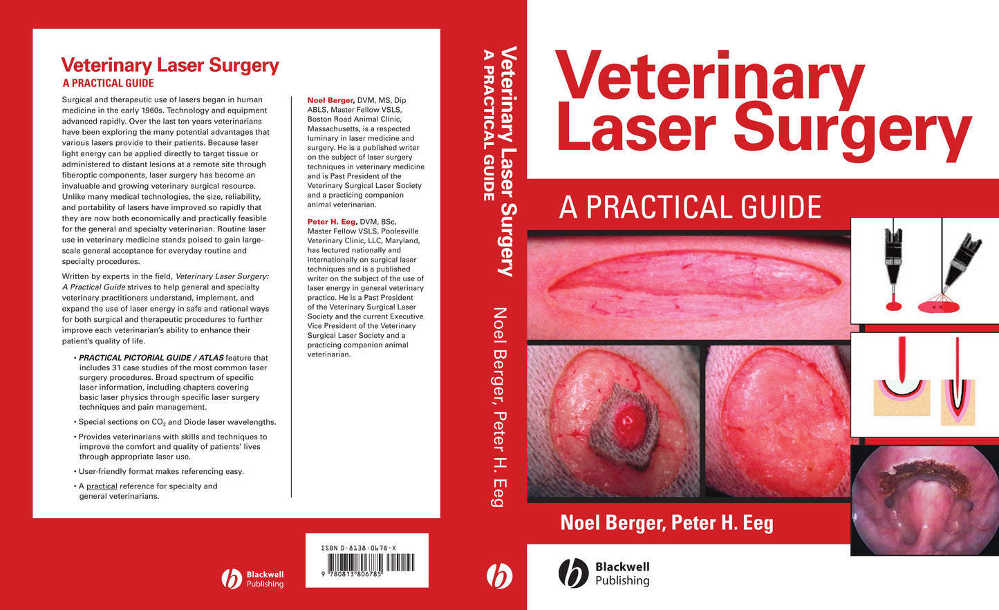 Veterinary Laser Surgery A Practical Guide